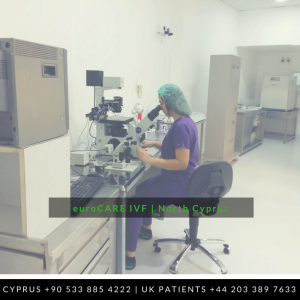 IVF Cyprus